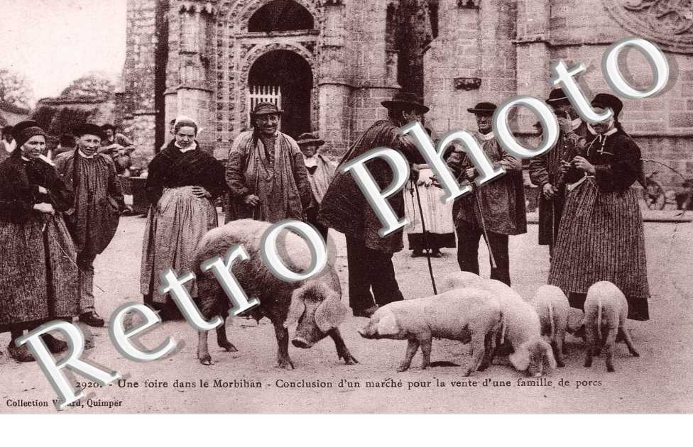 Une Foire, Conclusion d&#039;un Marche pour la vente d&#039;une famille de Porcs