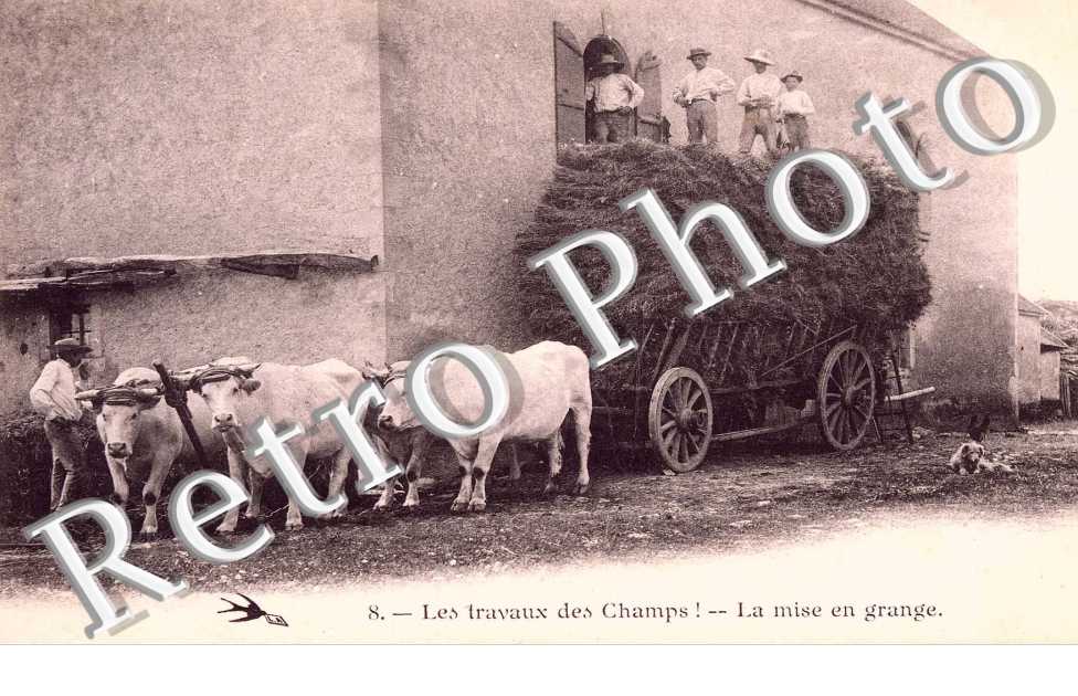 La Mise en Grange