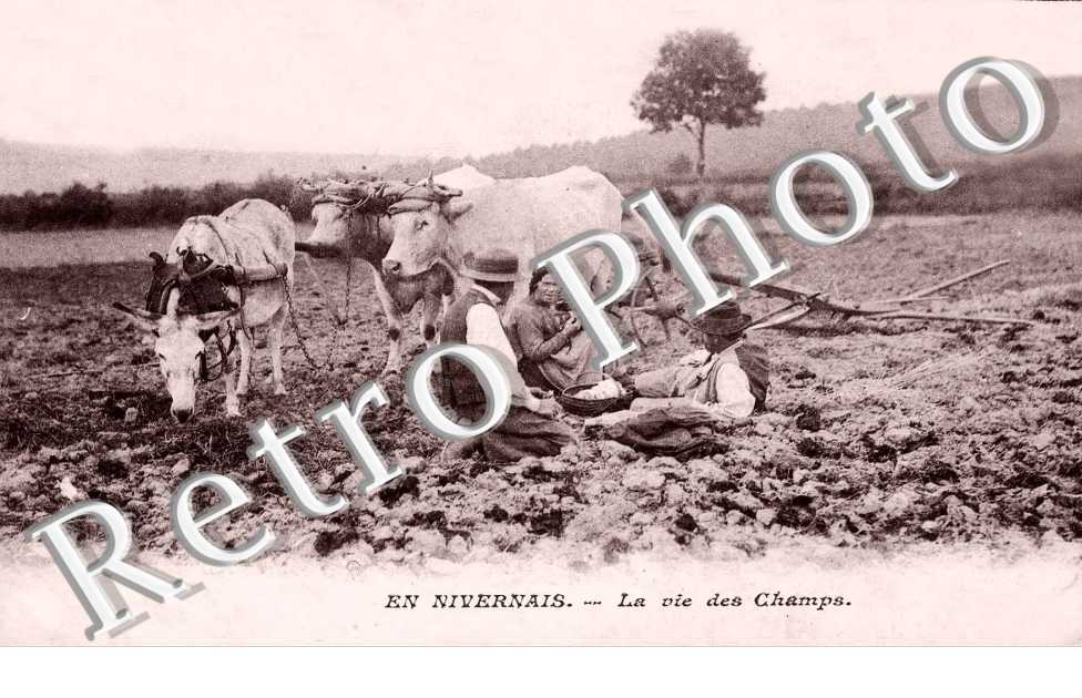 la vie  des champs