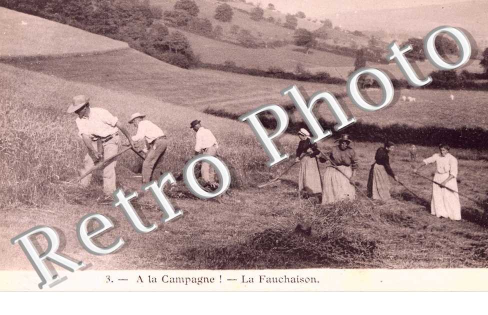 la fauchaison
