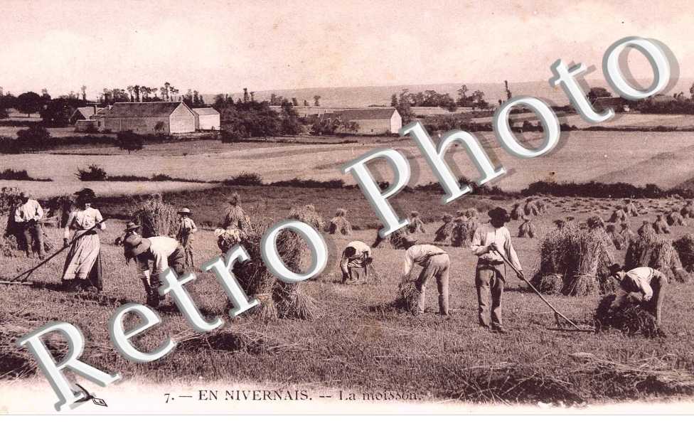 la moisson