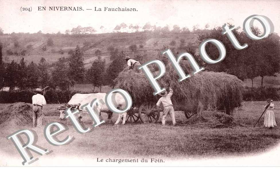 La fauchaison  le chargement du foin