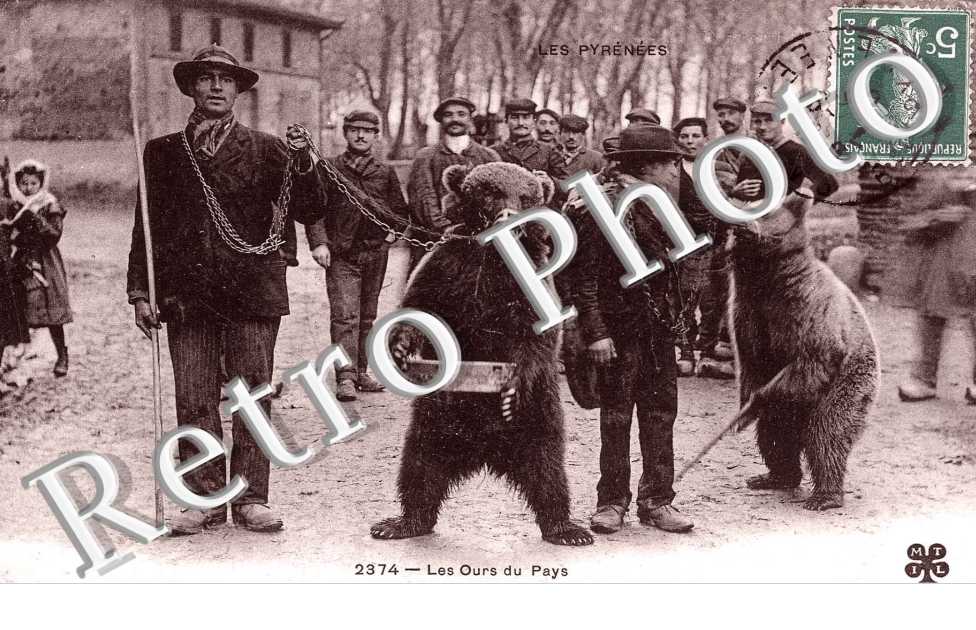 Les Ours du Pays