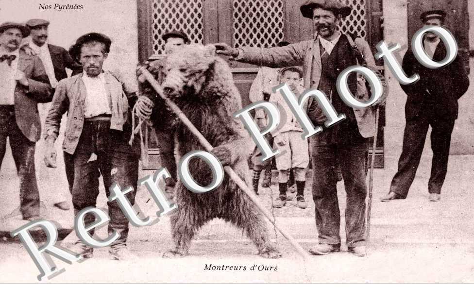 montreurs d&#039;ours