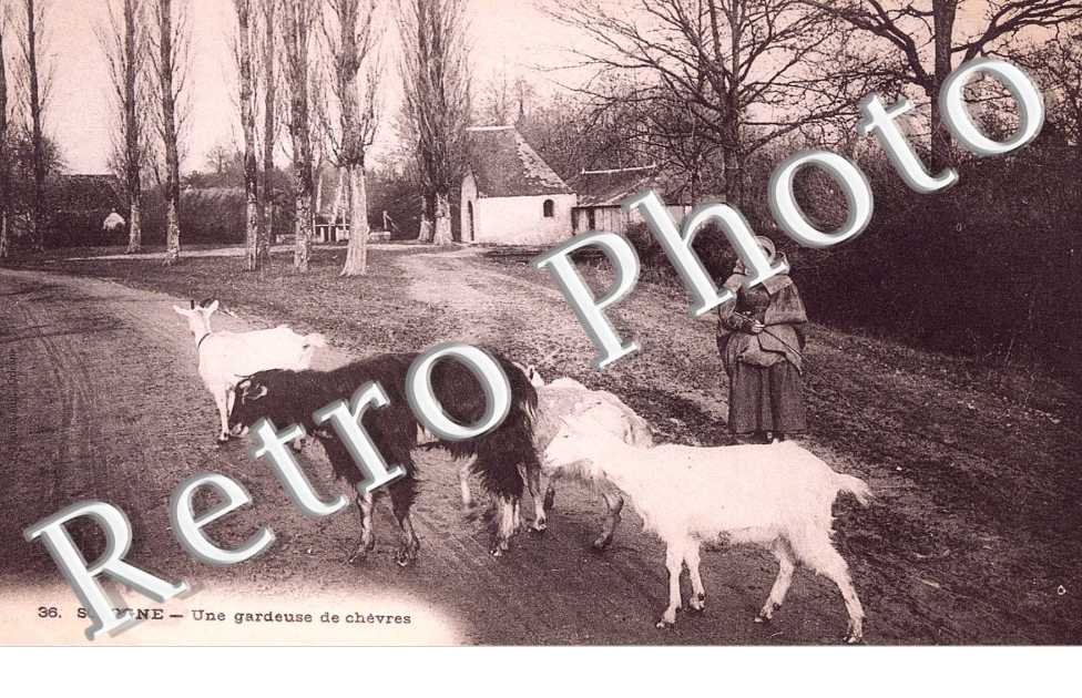 Une Gardeuse de chevres