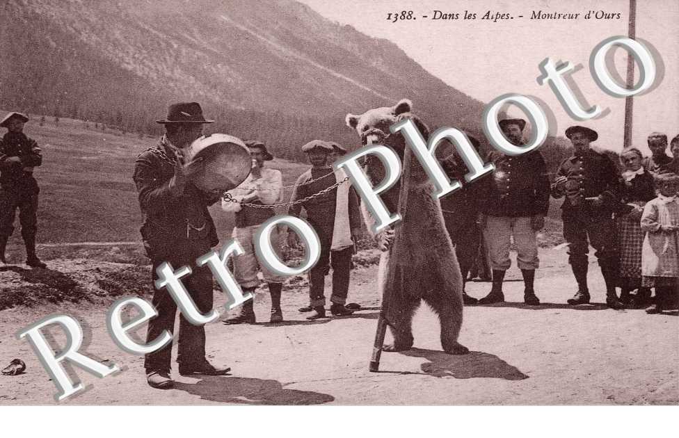 Dans les Alpes Montreur d&#039;ours