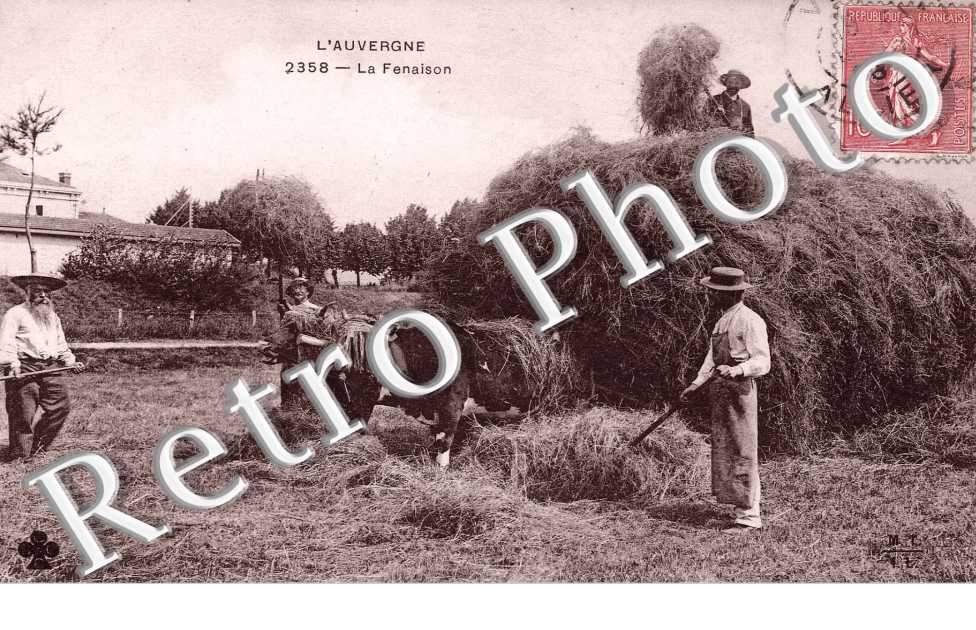 La fenaison  - Agriculture
