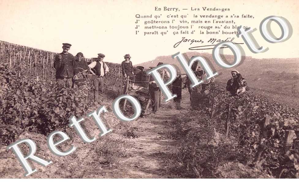 Les vendanges