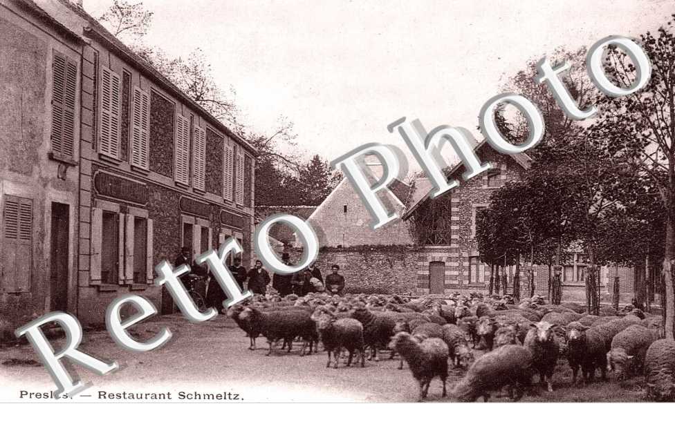 Restaurant Schmeltz - elevage(troupeau de moutons)
