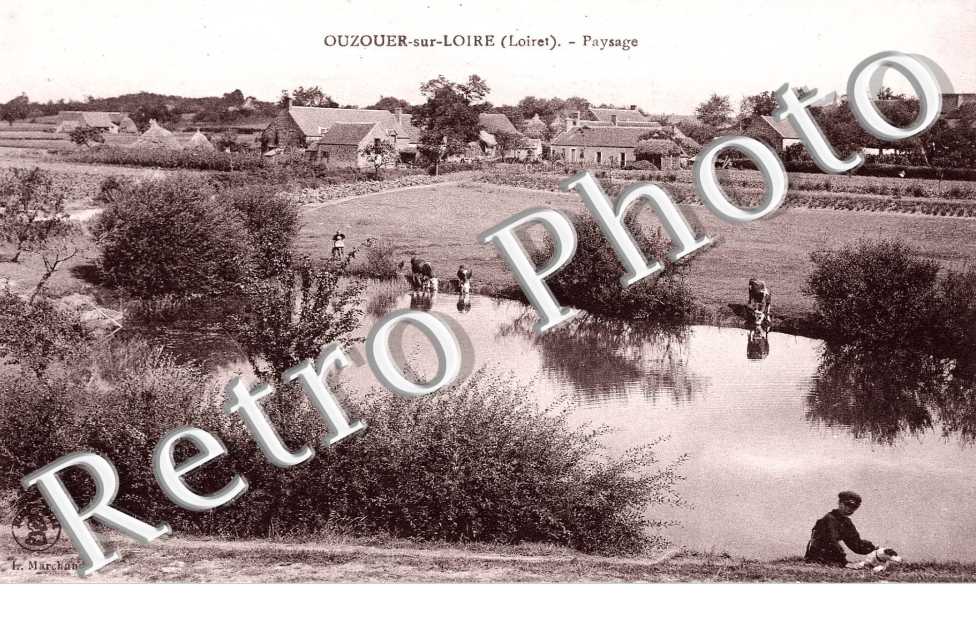 Paysage