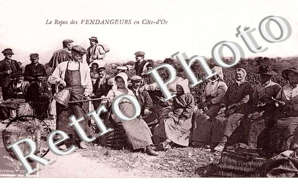 Le Repos des Vendangeurs en Cote d&#039;Or