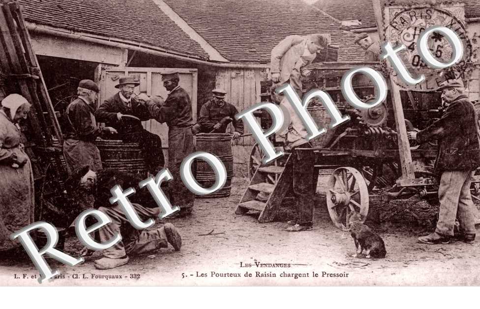 Les Pourteux de Raisin chargent le Pressoir