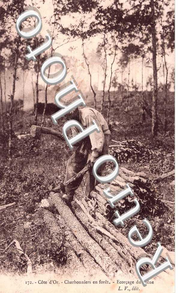 Charbonniers en Forêt - Ecorçage du Chêne