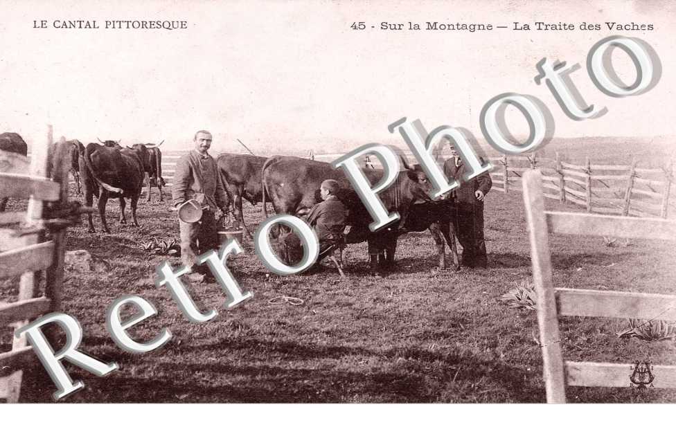 La Traite des Vaches