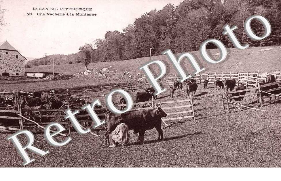 Une Vacherie a la Montagne