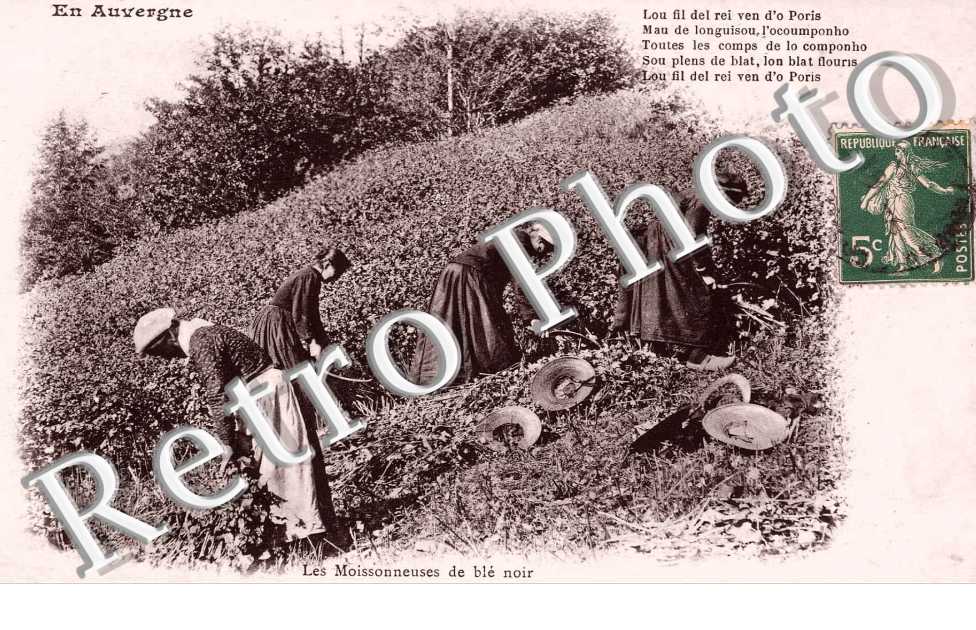 Les Moissonneuses de ble noir