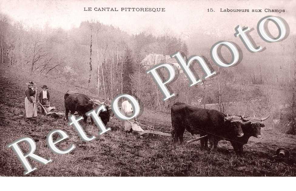Laboureurs aux Champs