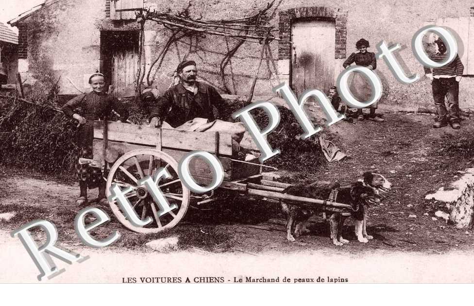 LE MARCHAND DE PEAUX DE LAPINS