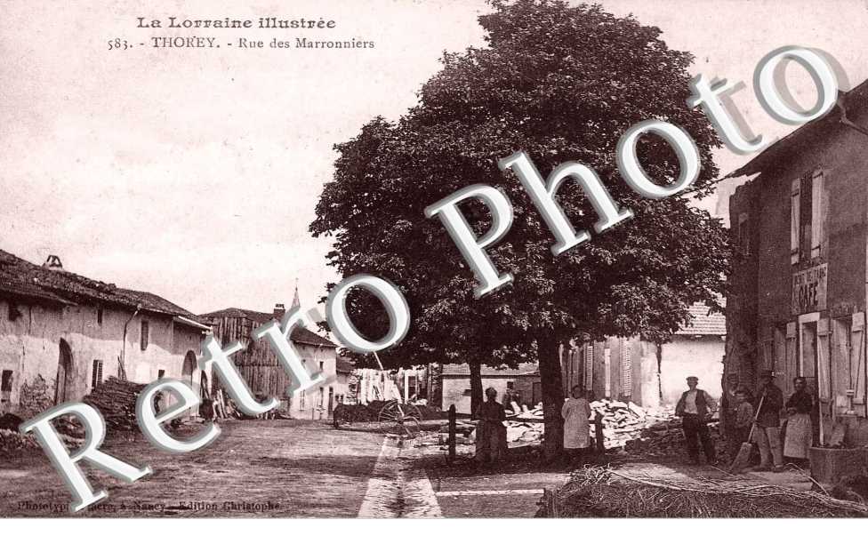 Rue des marronniers