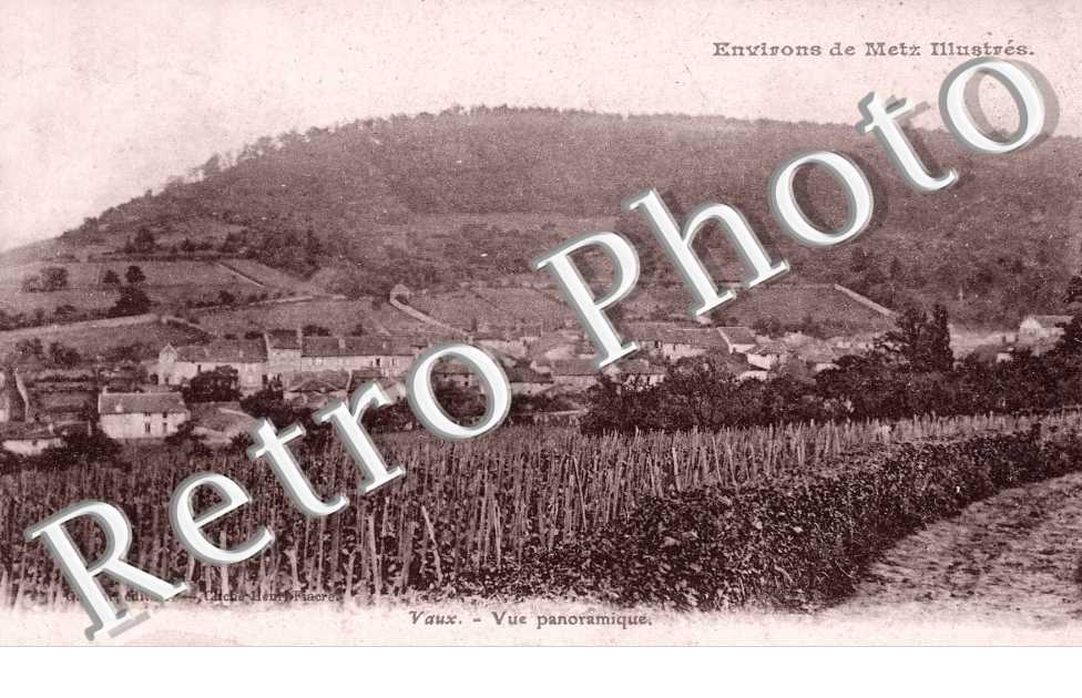 vue panoramique