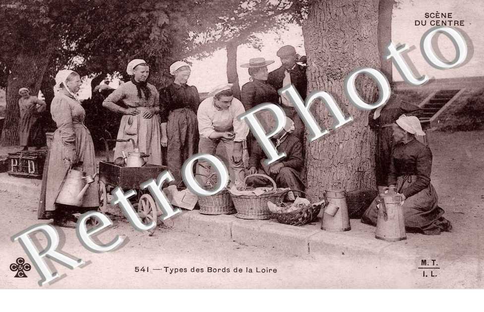 Types des bords de la Loire