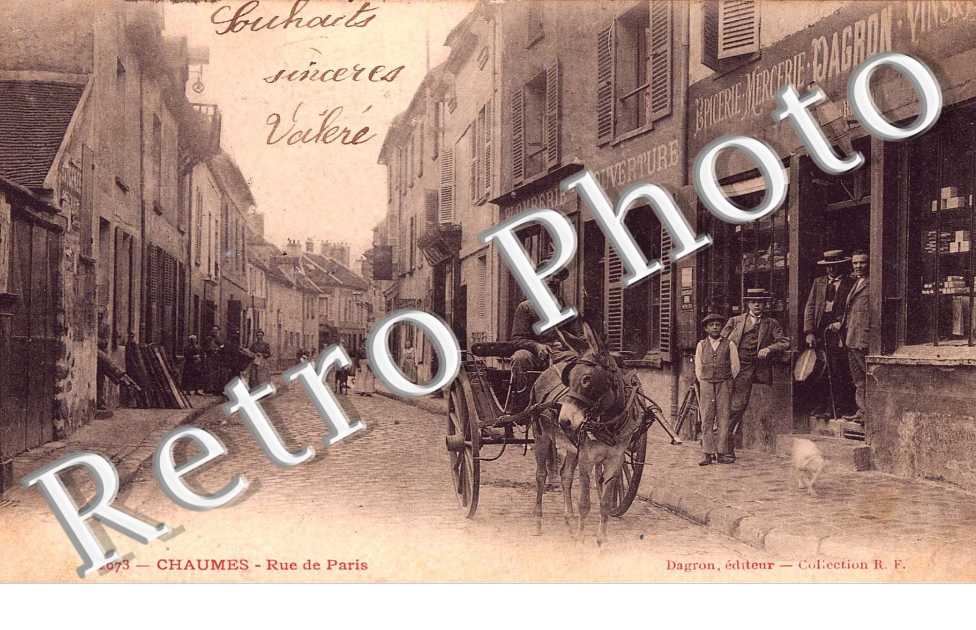 Rue de Paris - attelage d&#039;ane