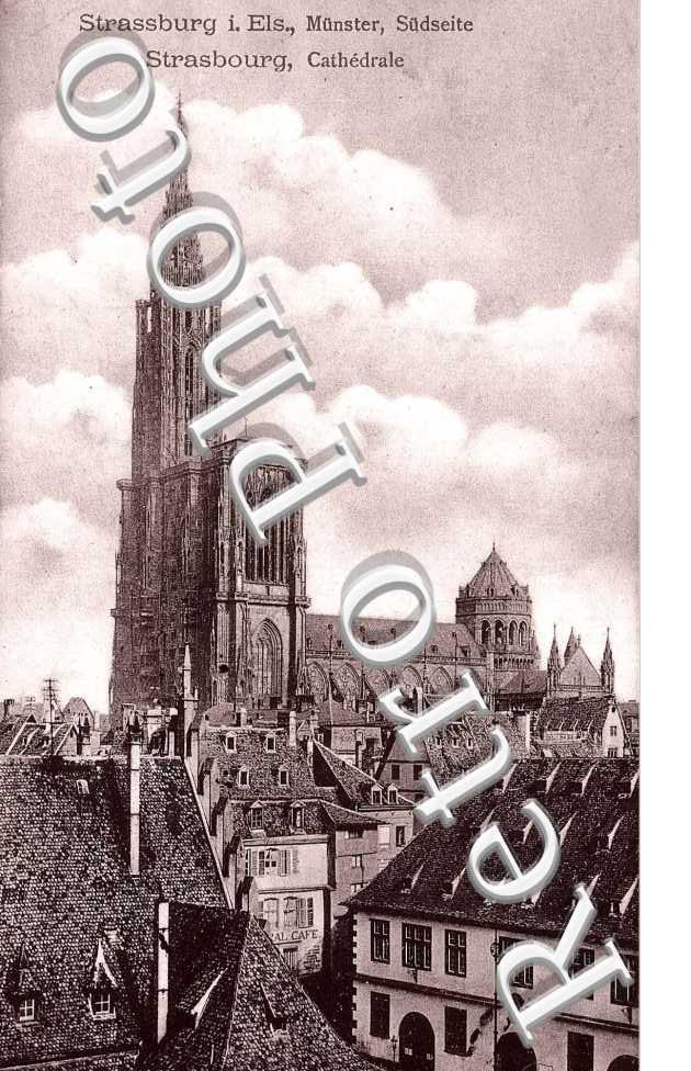 CATHEDRALE 