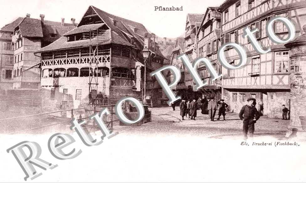 Pflanzbad