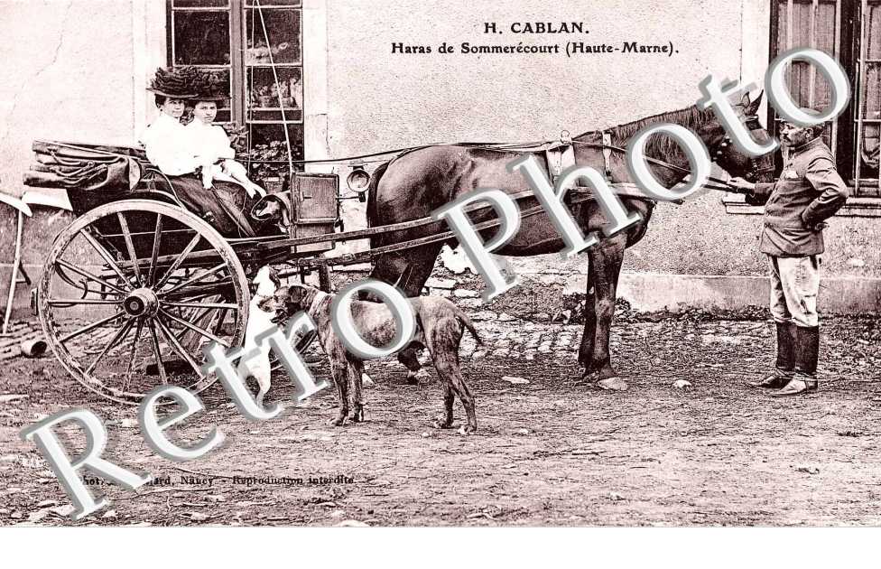Haras  H. Cablans - caleche