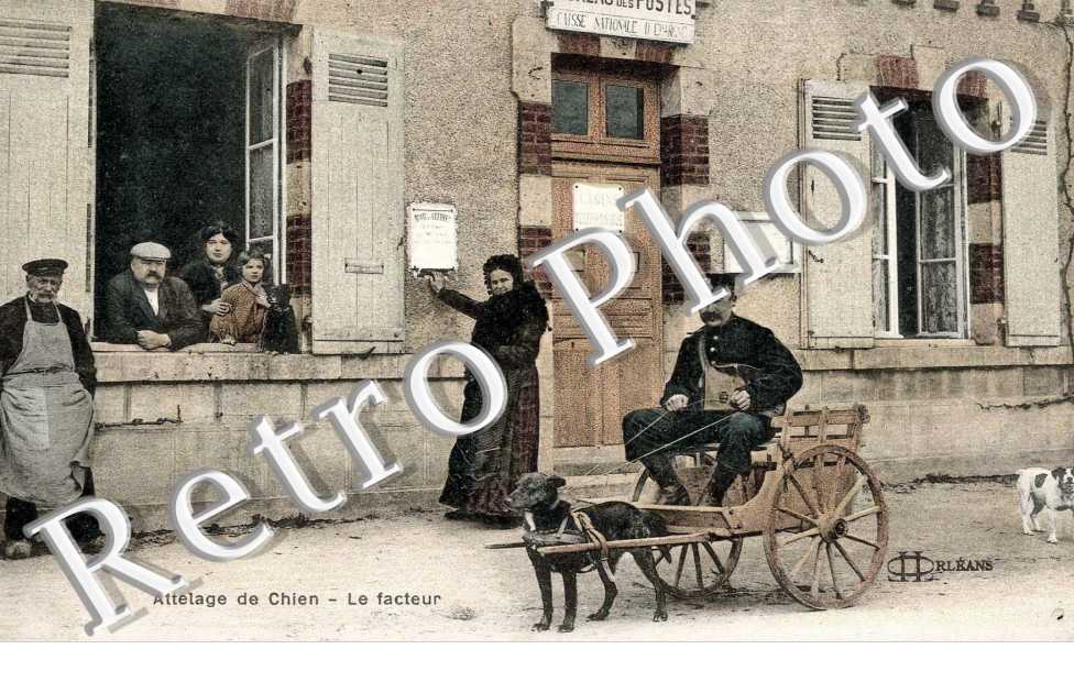  attelage de chien  -   le facteur 