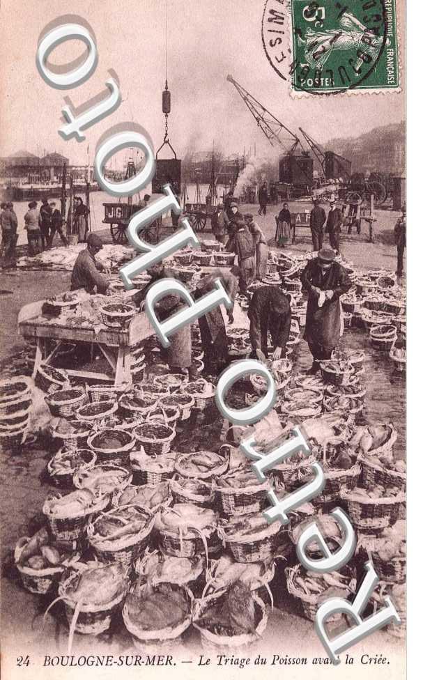 LE TRIAGE DU POISSON AVANT LA CRIEE
