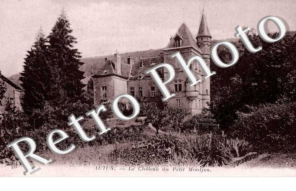 LE CHATEAU DU PETIT MONJEU