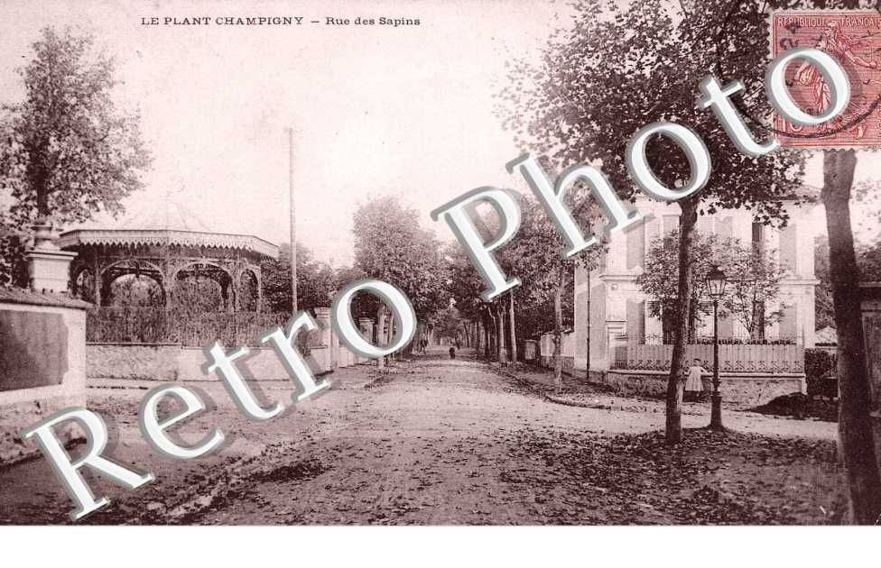 Le Plant Champigny, Rue des Sapins