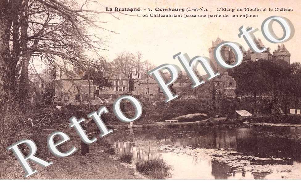 l'etang du moulin et le chateau ou chateaubriant passa une partie de son enfance