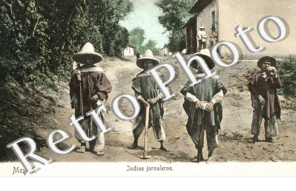 Indios Jornaleros