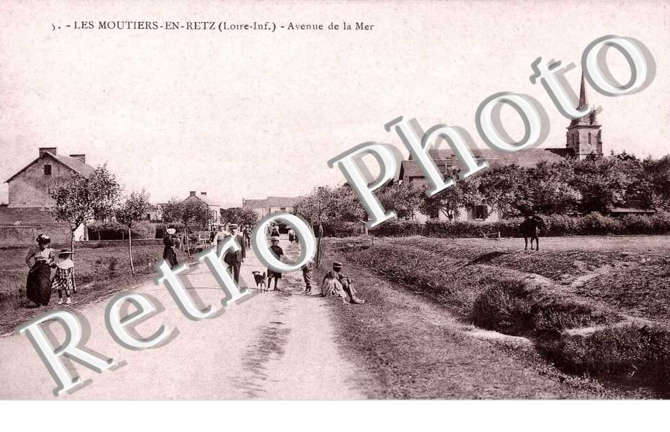 avenue de la mer