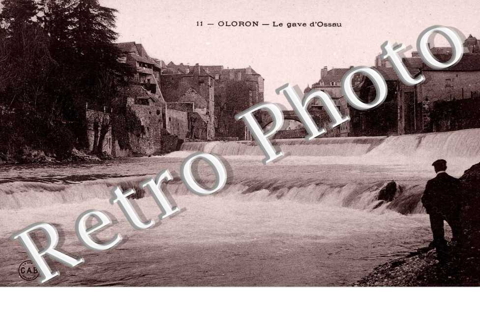 LE GAVE D&#039;OSSAU