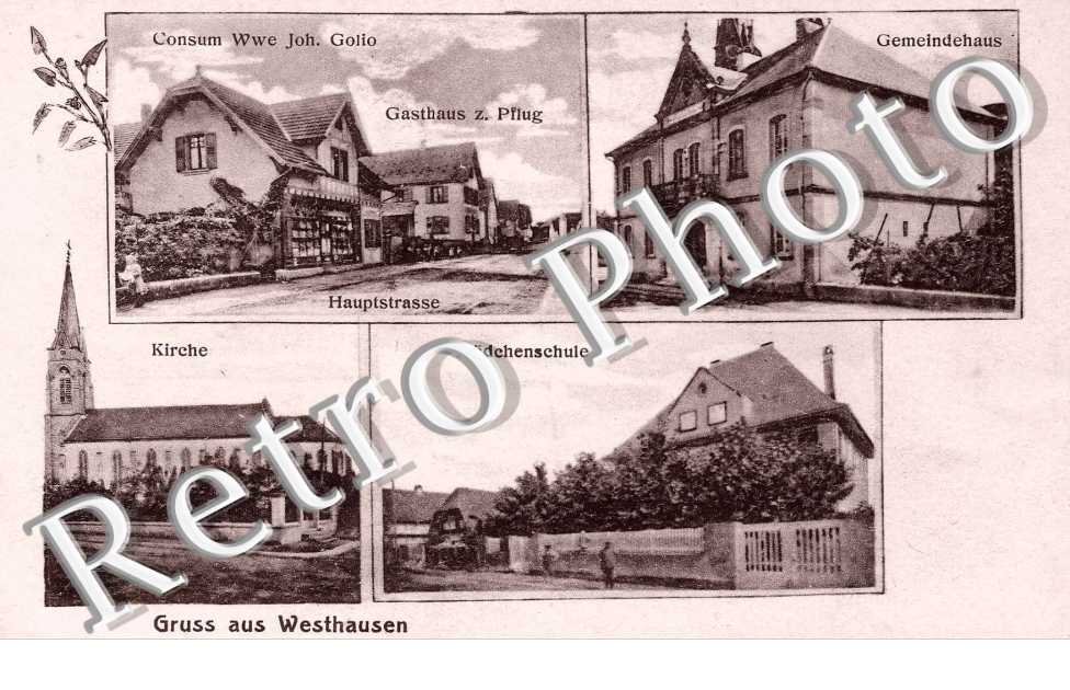 consume Wwe Joh. Golio  Gasthaus z. Pflug  Gemeindhaus Madschenschule