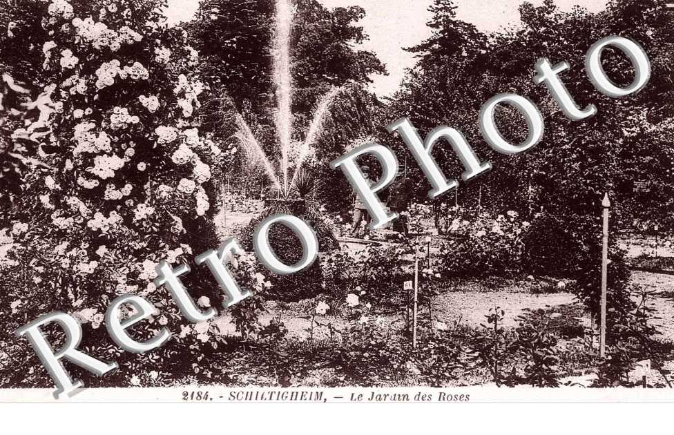 le jardin des roses