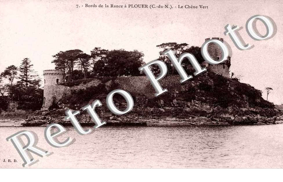 le chene vert