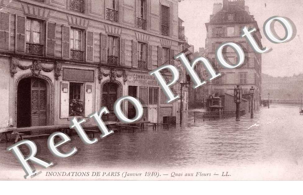 quai aux fleurs