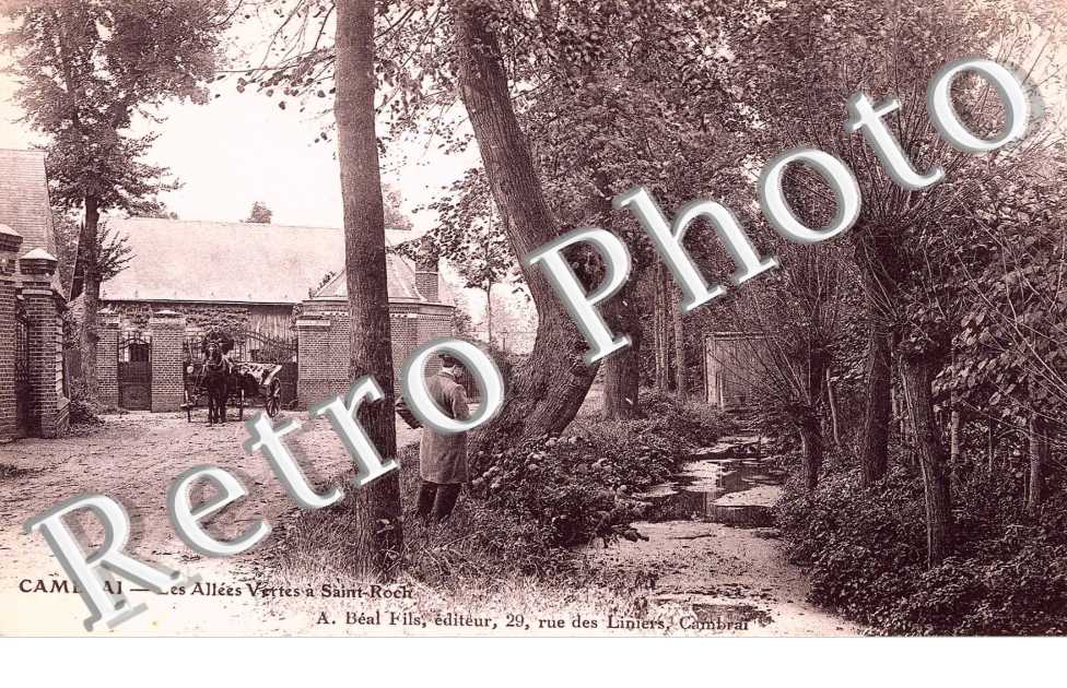 Les Allées Verte à Saint Roch
