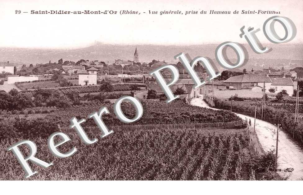 Vue Générale prise du Hameau de Saint Fortunat