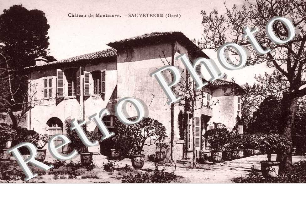 chateau de Montsauve
