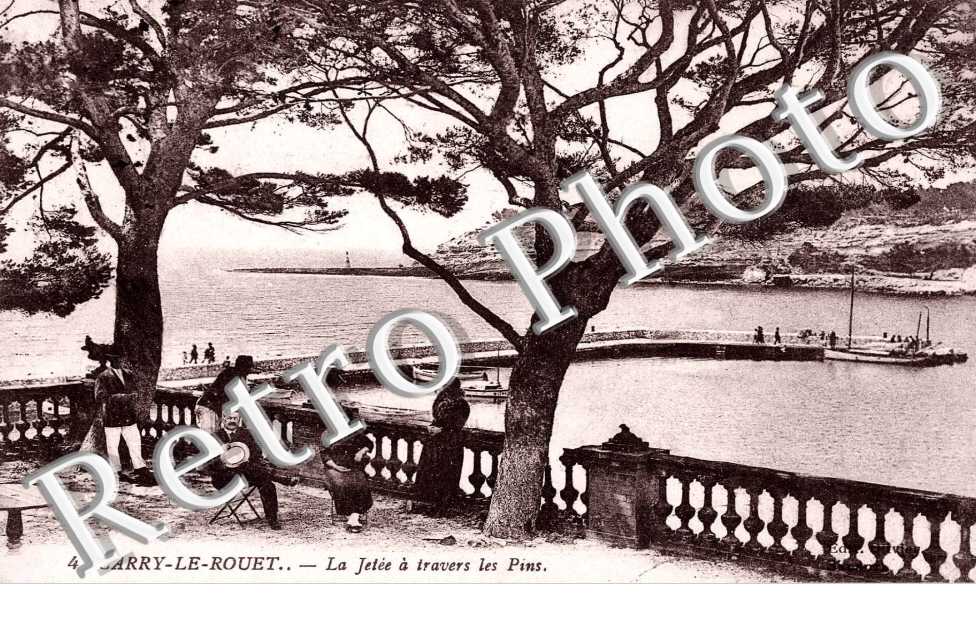 LA Jetee a travers les pins