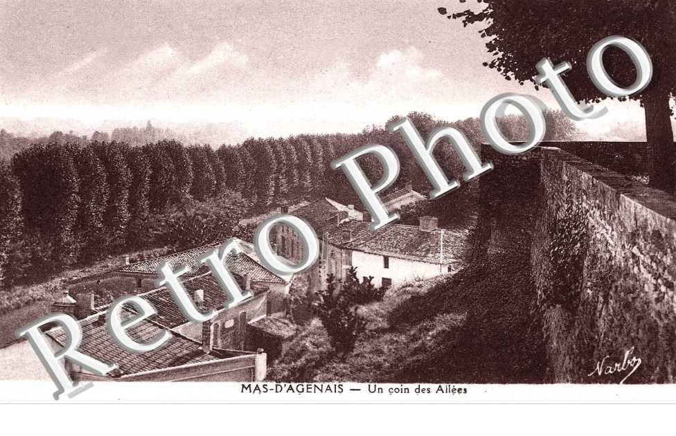 Un coin des Allees