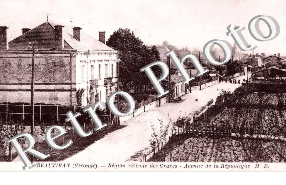 region viticole des graves