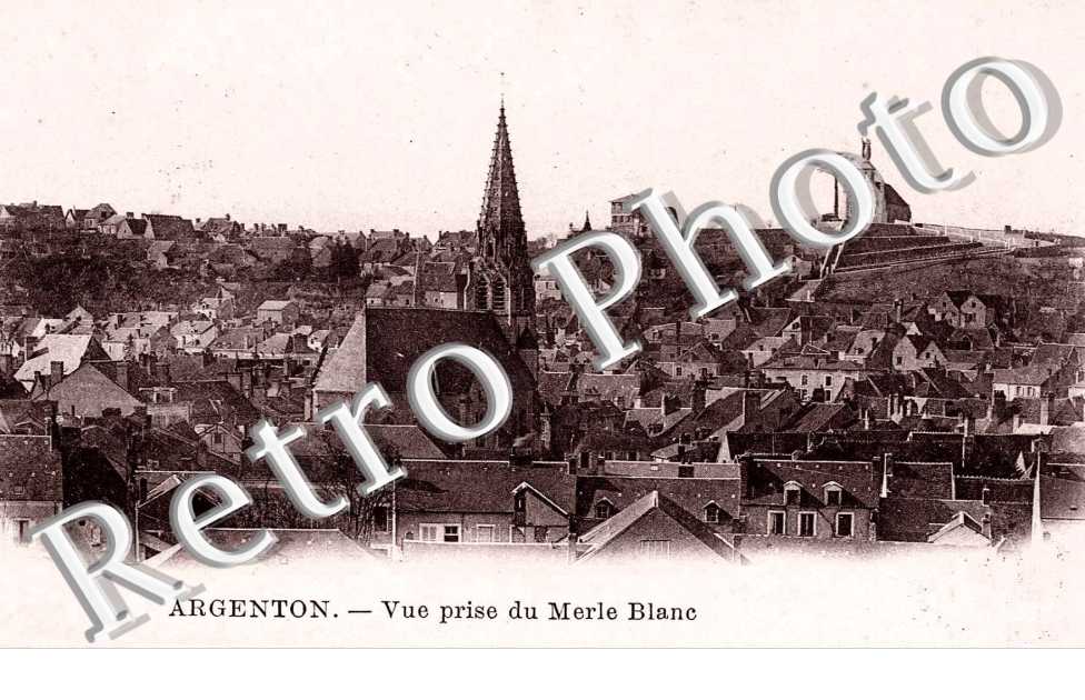 VUR PRISE DU MERLE BLANC