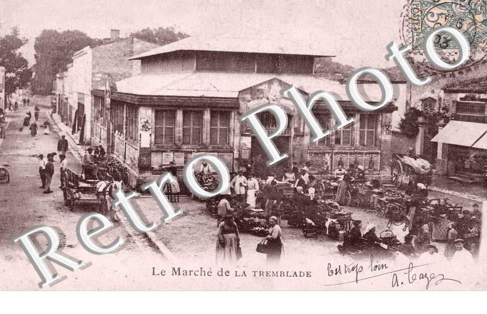 le marche de la tremblade