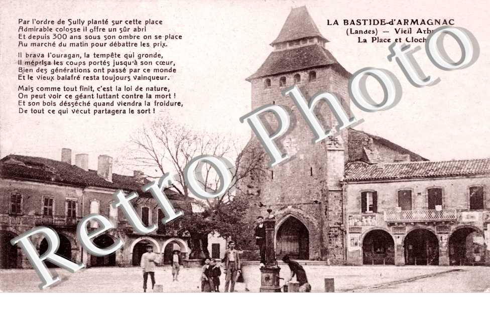 le viel arbre la place le clocher